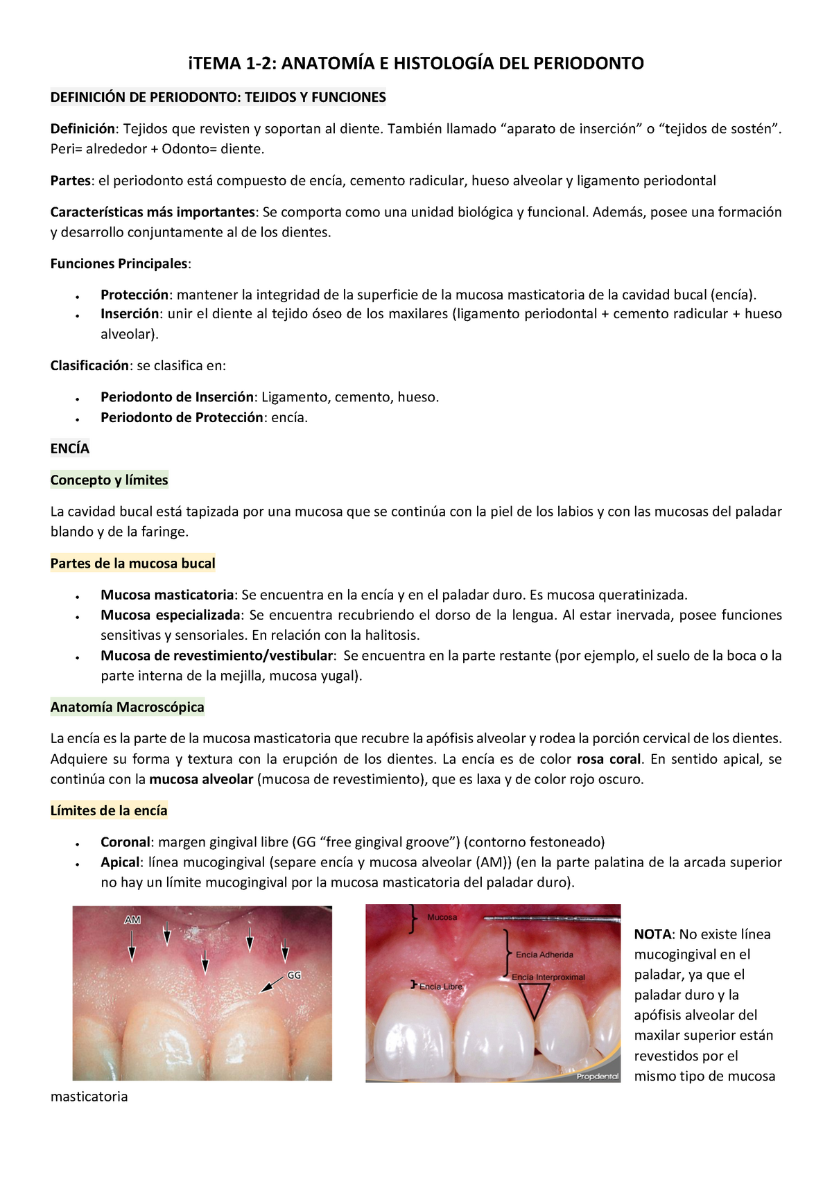 Periodoncia Apunte Ucm Studocu