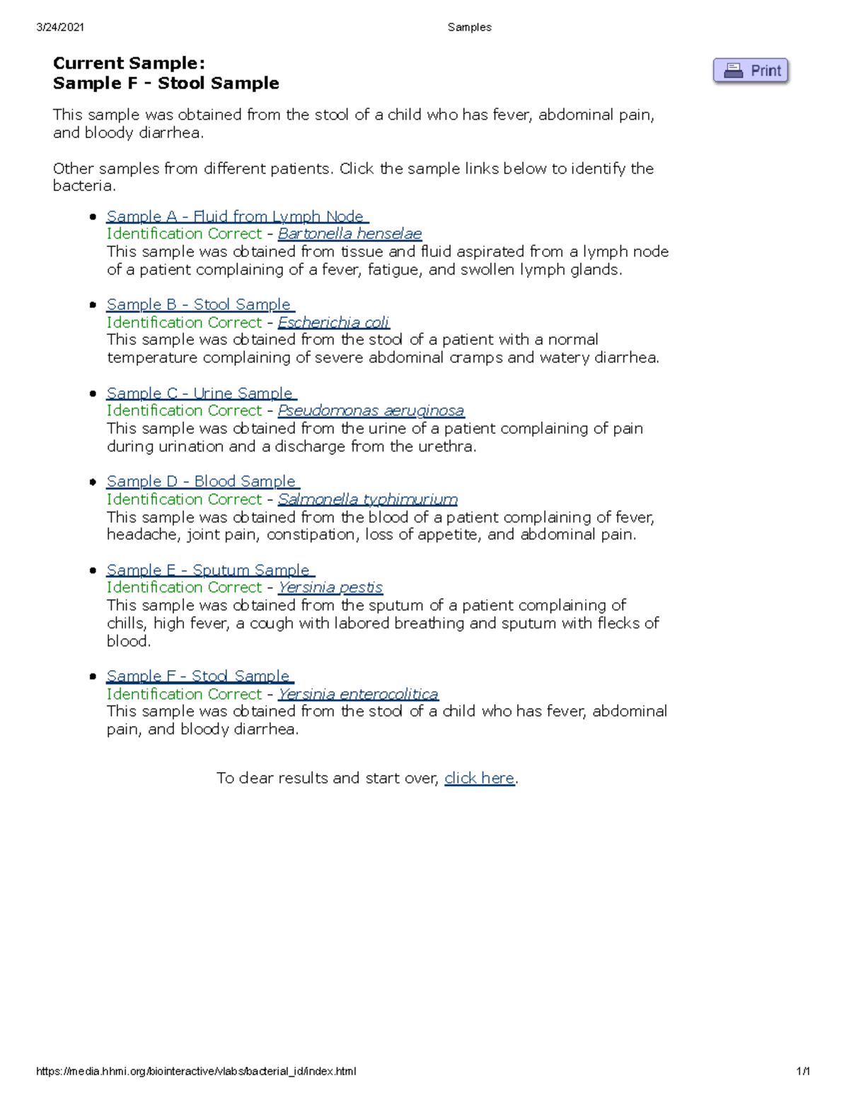 Bacterial Identification Virtual Lab HHMI's Bio Interactive - 3/24/2021 ...