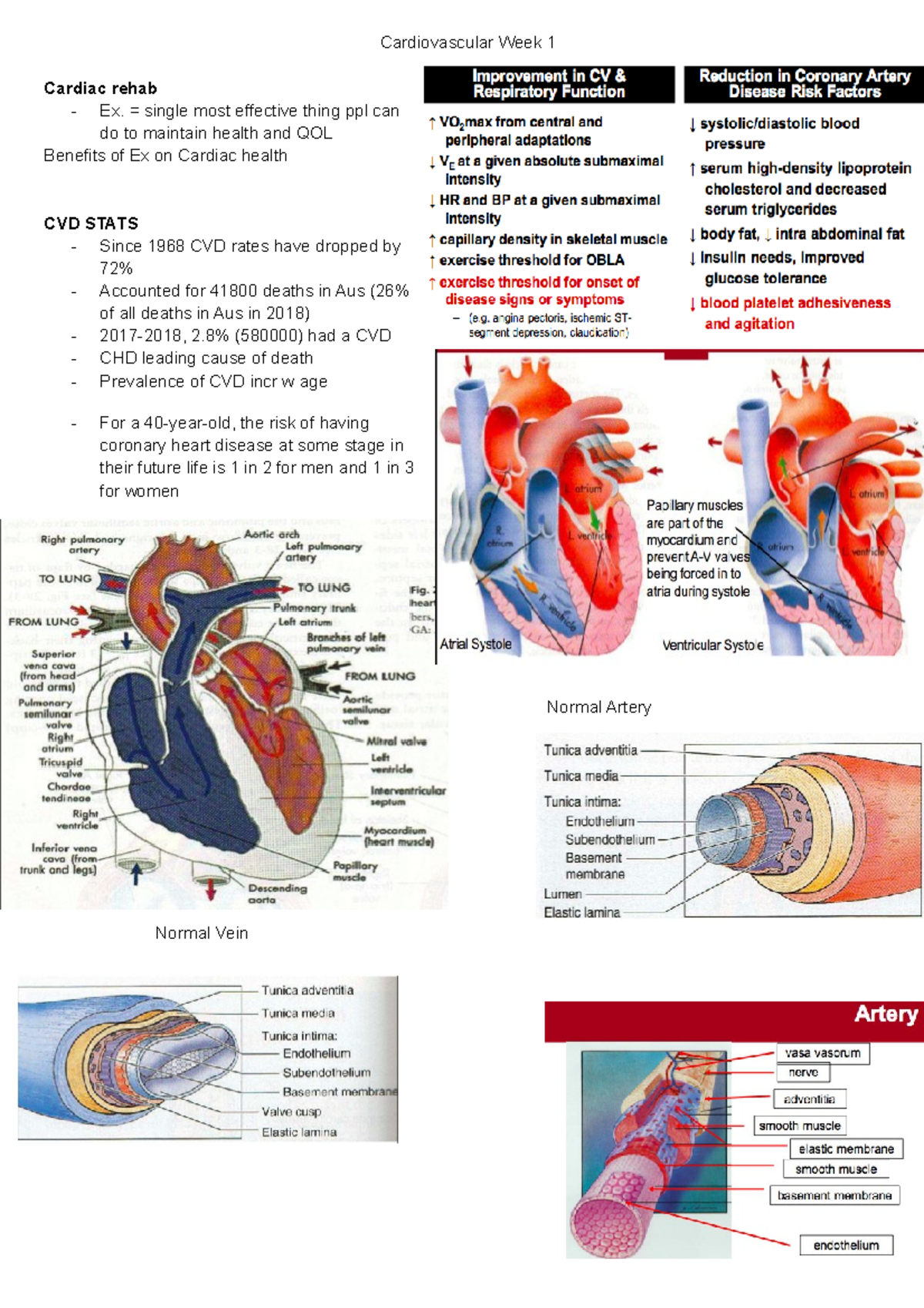 Cardiovascular Week 1 - Lecture notes 1 - Cardiovascular Week 1 Cardiac ...