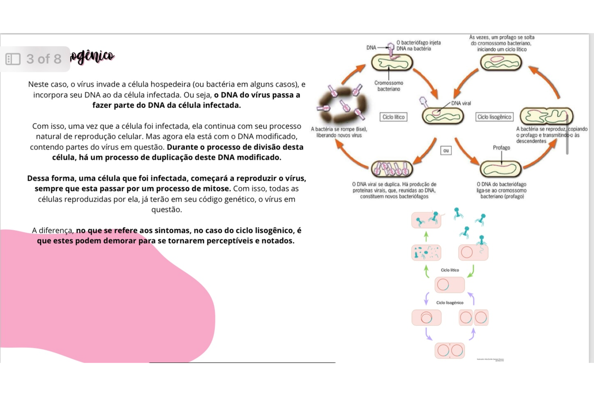 Resumo Microbiologia Microbiologia Studocu