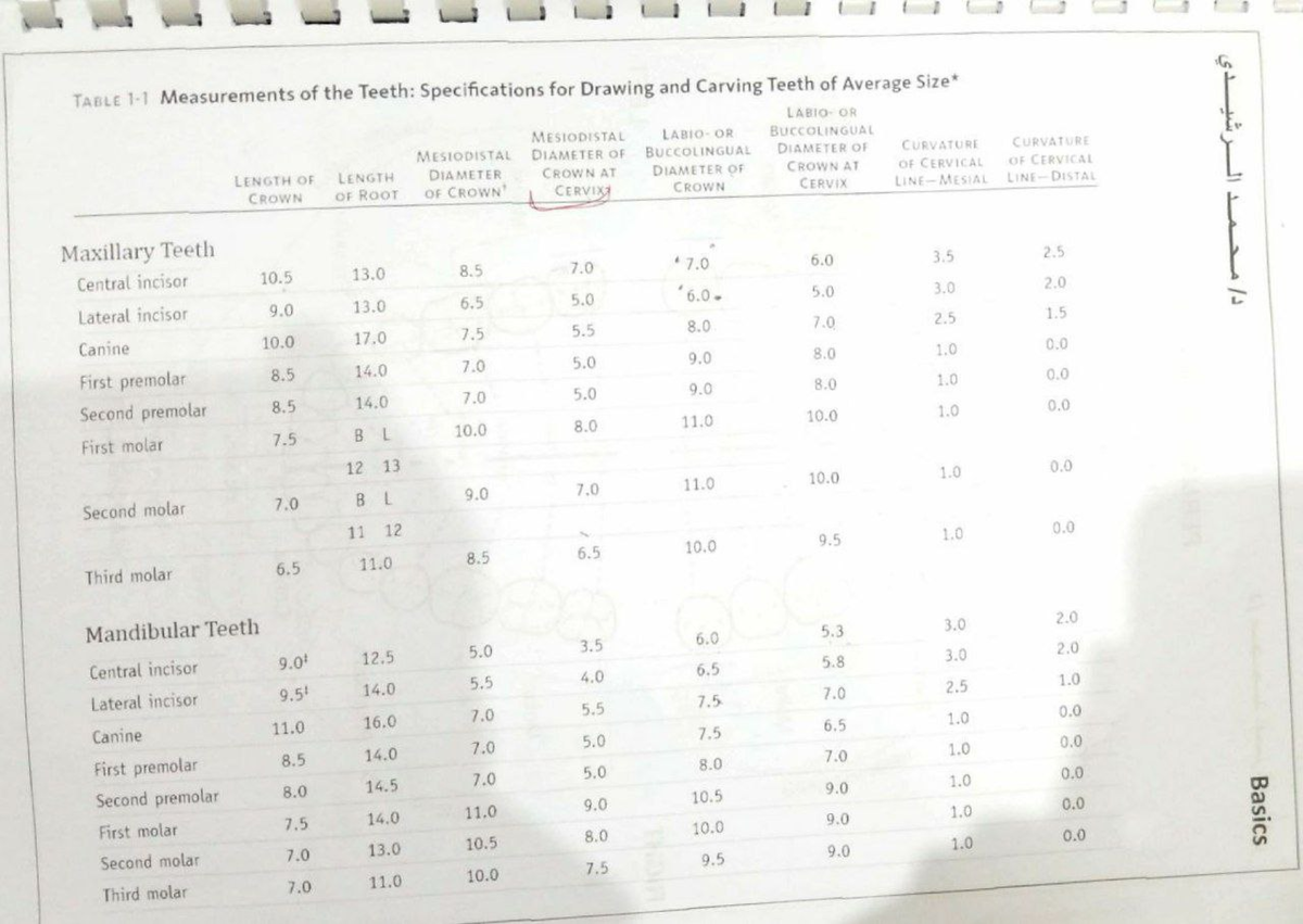 Merged 1 - ewvmcwedrv - G TABLE Measurements of the Teeth ...
