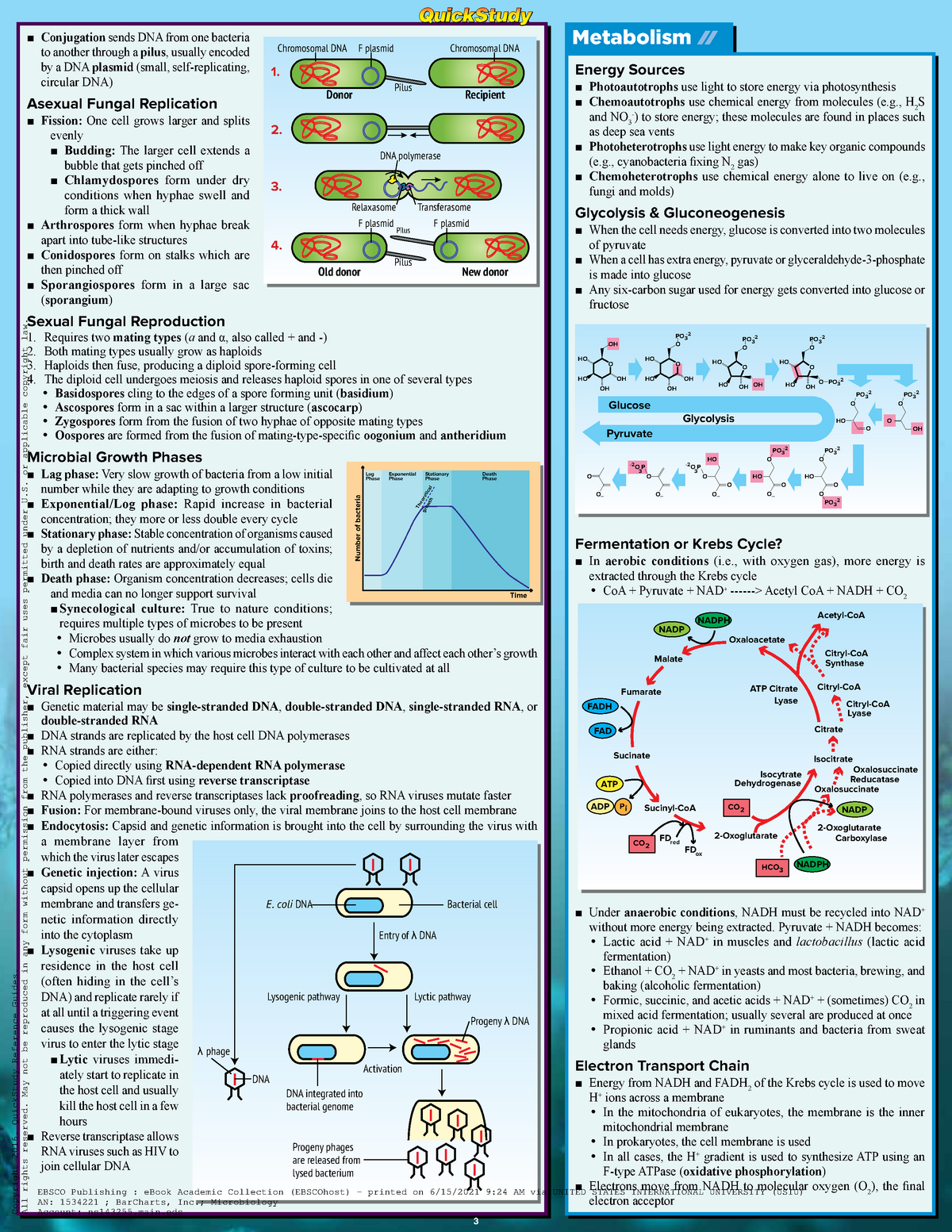 Bar Charts Inc 2016 Metabolism Microbiology Conjugation Sends Dna From One Bacteria To Another 8136