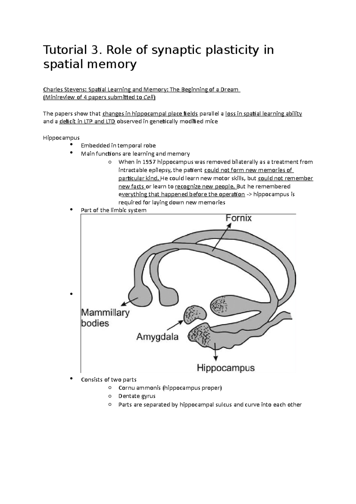 Tutorial 3 - Tutorial 3. Role of synaptic plasticity in spatial memory ...