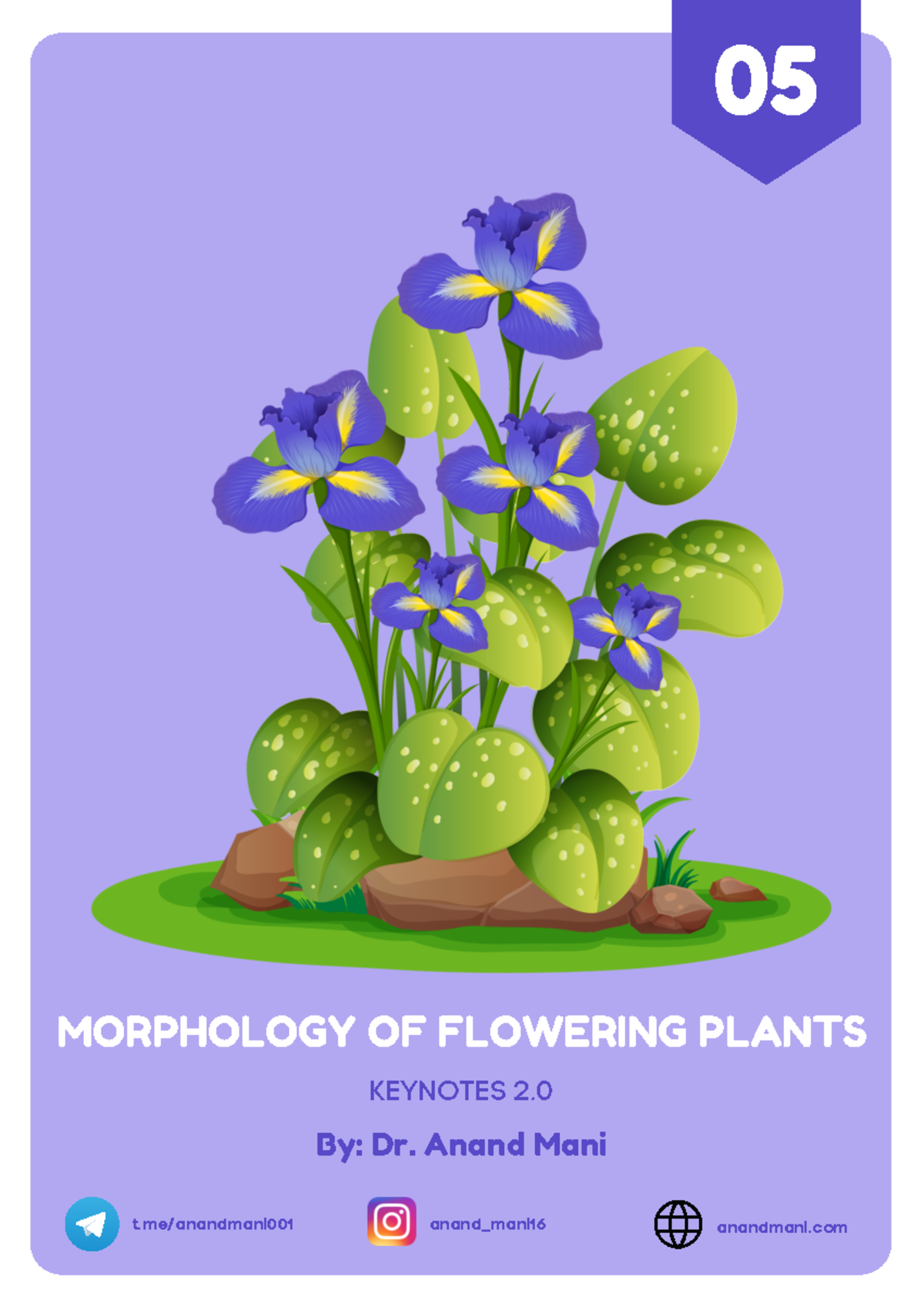 Morphology of Flowering Plants key Notes 2 MORPHOLOGY OF FLOWERING