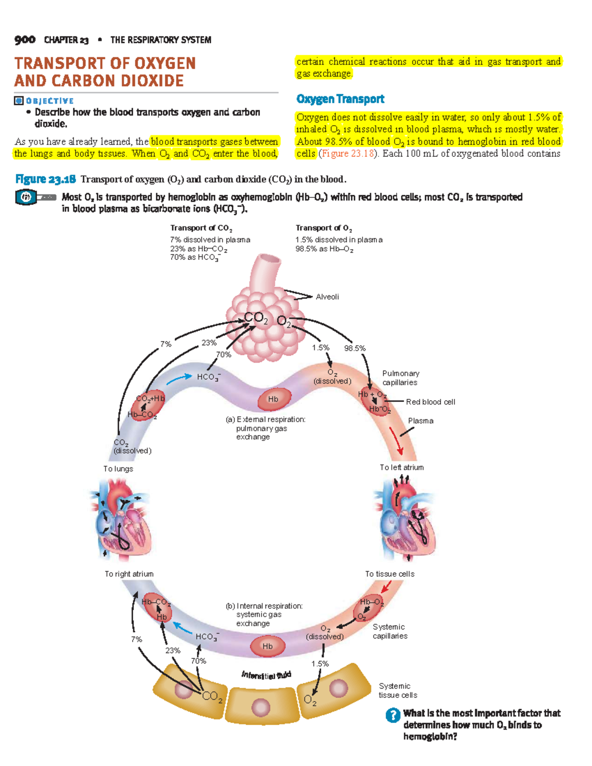 DOC20230918WA0029 Basic anatomy and physiology are essential for