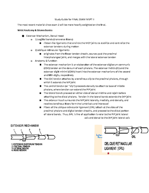 P3 strain indicator Manual - Model P3 Strain Indicator And Recorder ...