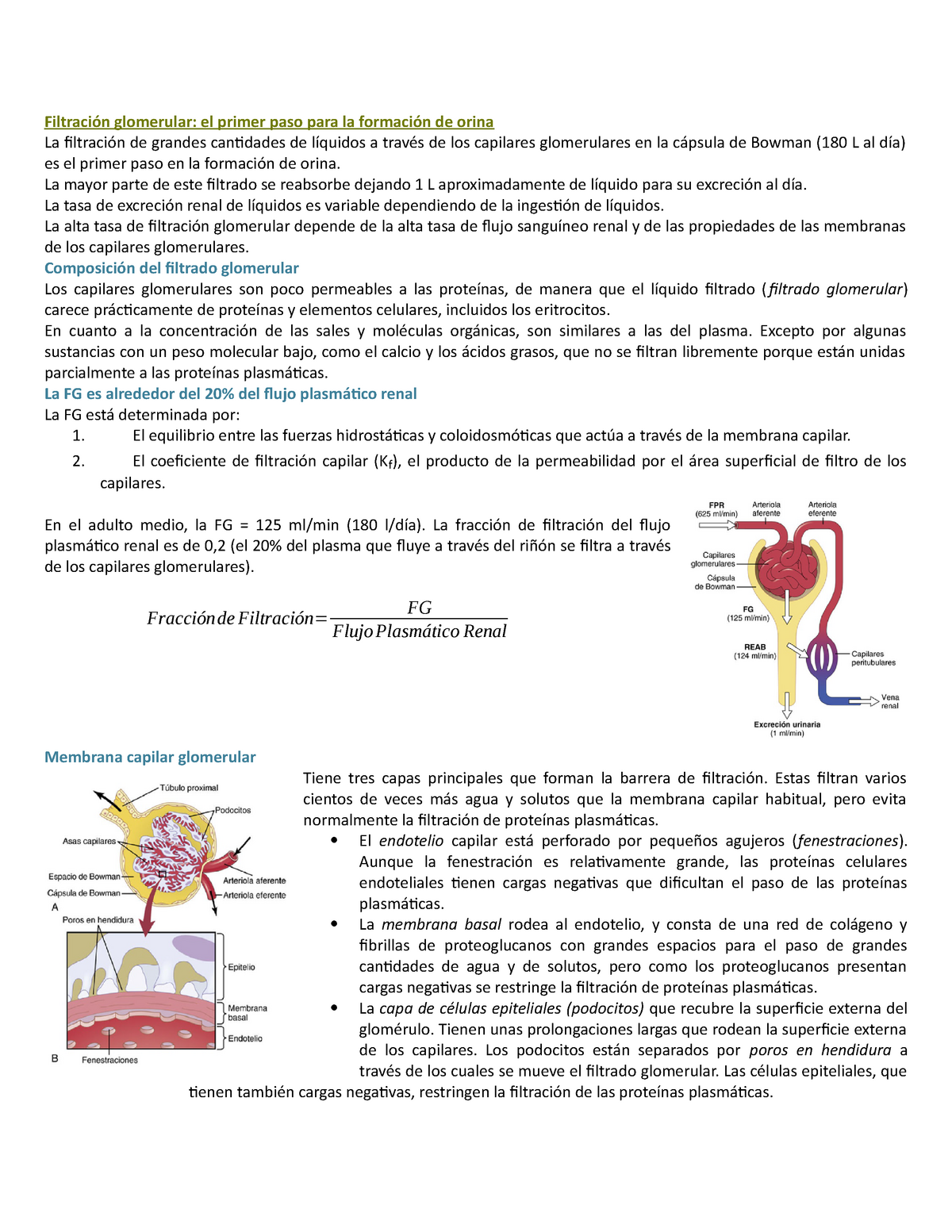 fisiologia medica guyton 13 pdf