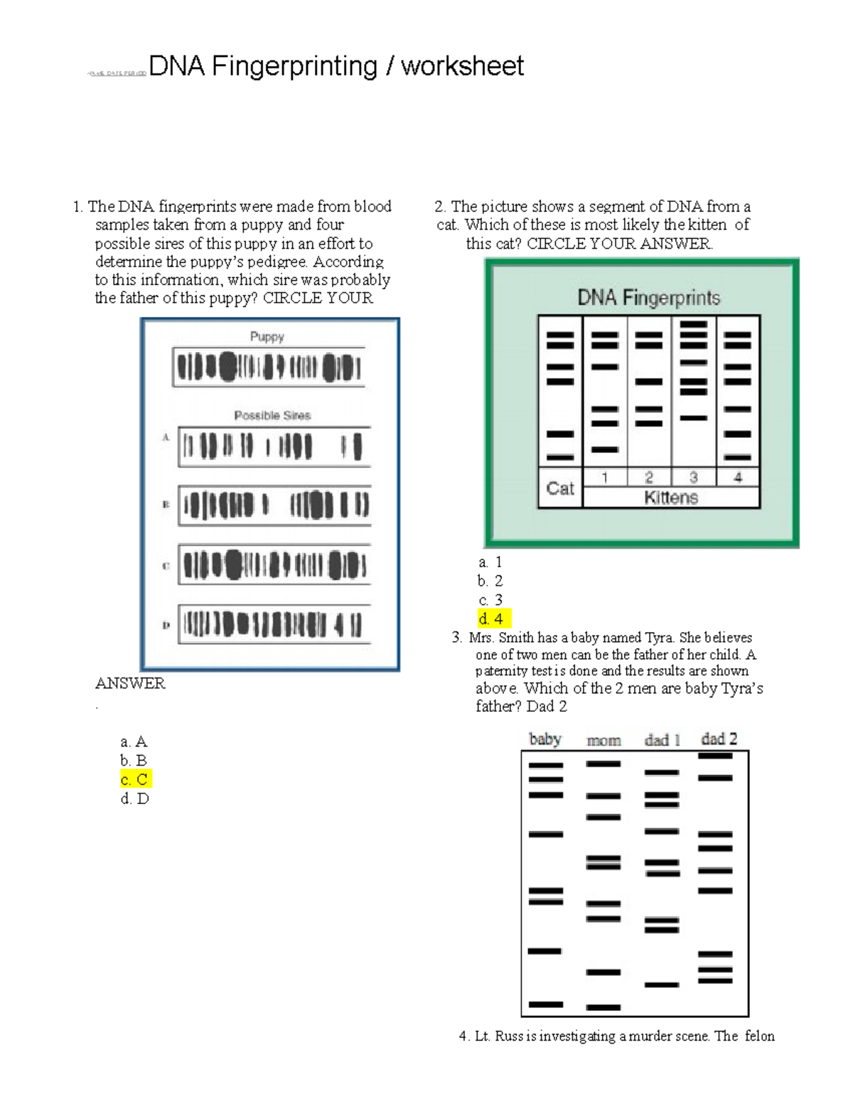 DNA Fingerprinting Worksheet 2 - NAME DATE PERIOD DNA Fingerprinting /  worksheet 1. The DNA - Studocu