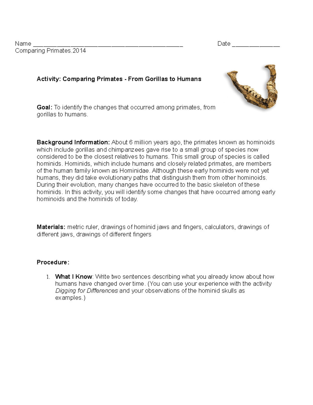 Comparing Primates in relation to humans - Activity: Comparing Primates ...