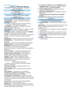 Anatomy Physio Notes - The Human Organism ANATOMY – The study of ...