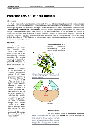 Esempio Relazione Di Laboratorio - SCHEMA DI TUTTE LE RELAZIONI DI ...