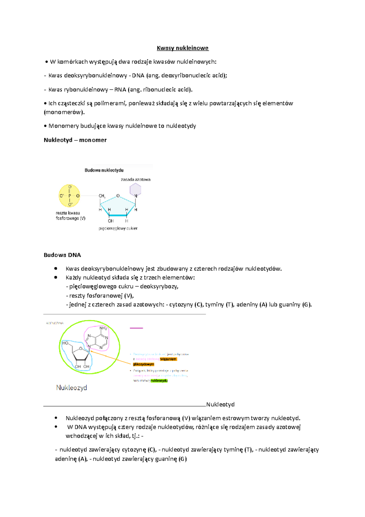 Kwasy Nukleinowe Geny I Genomy Sprawdzian Nowa Era www.studocu.com