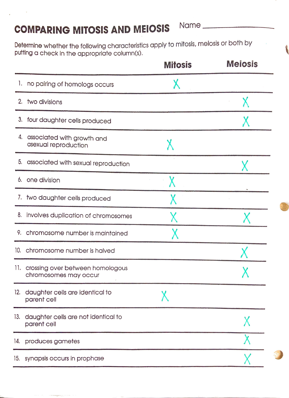Mitosis Vs Meiosis Worksheet