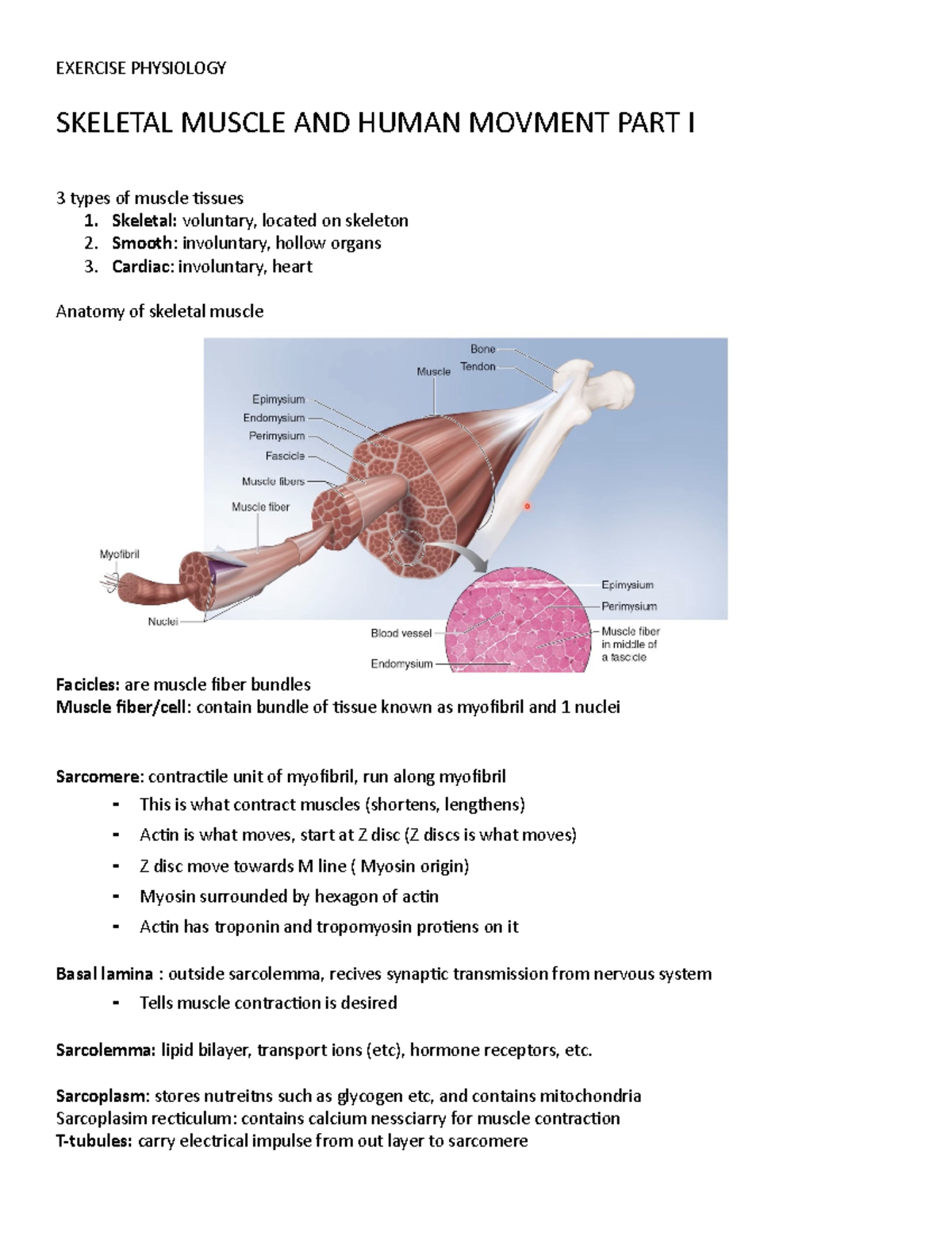 Exercise Physiology - da notes - Kinesiology 2000A/B - UWO - Studocu
