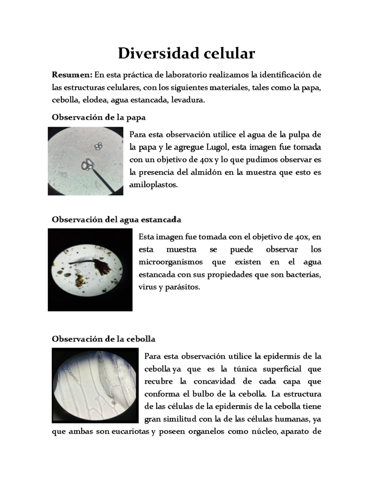 Diversidad celular Diversidad - Thumb 1200 1553