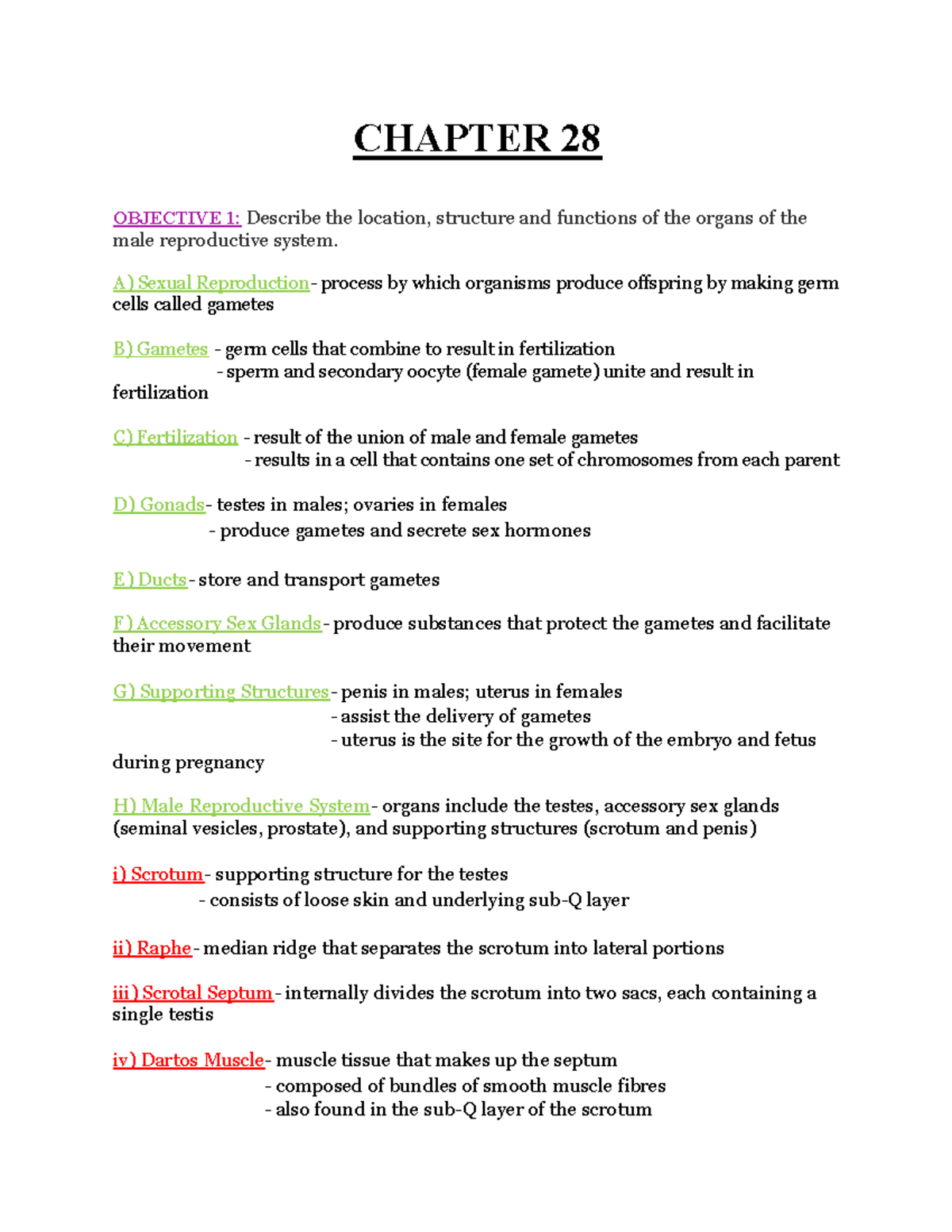 Chapter 28 Objective 1 Notes - CHAPTER 28 OBJECTIVE 1: Describe the ...