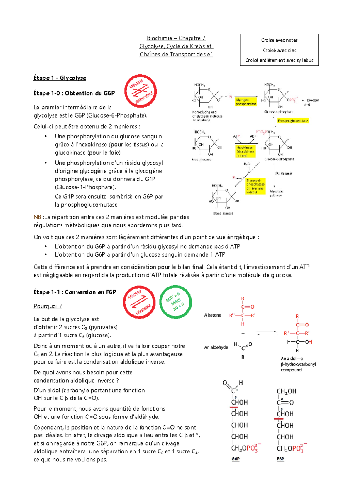 Chapitre Glycolyse Cycle De Krebs Et Cha Ne De Transport Des E