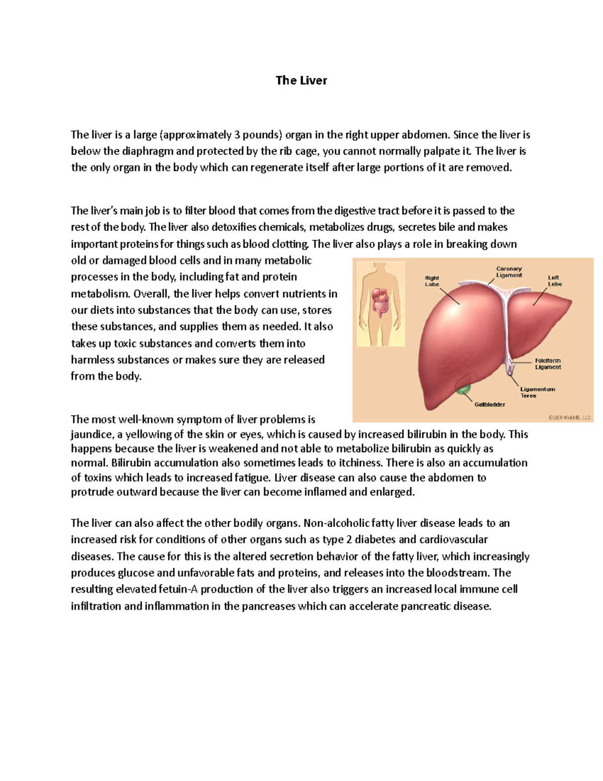 Liver Assignment - The Liver The liver is a large (approximately 3 ...