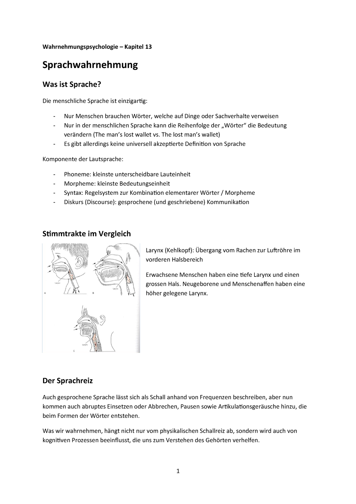 Wahrnehmungspsychologie Kapitel 13 Studocu