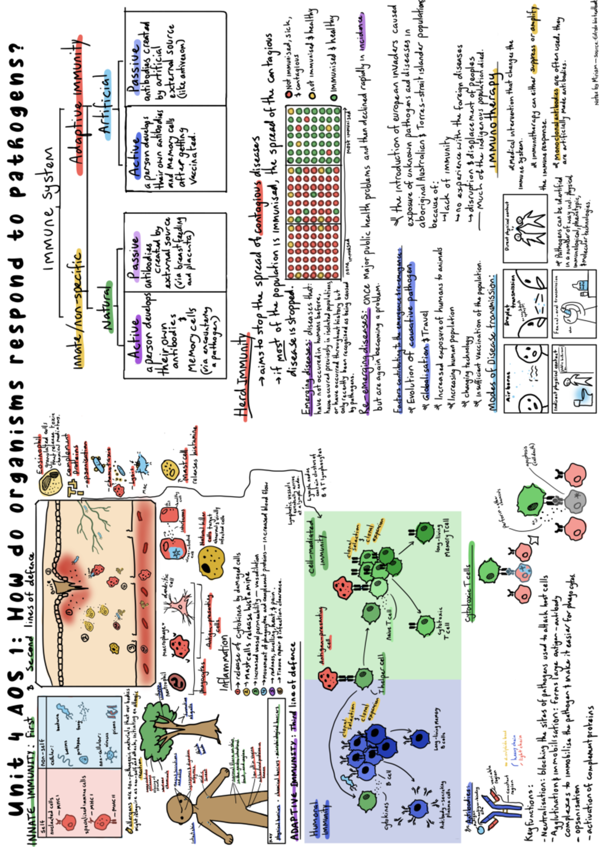 U4aos1 biology - t 4 AOS 1: HOW do organisms respond 0 pathogens ...