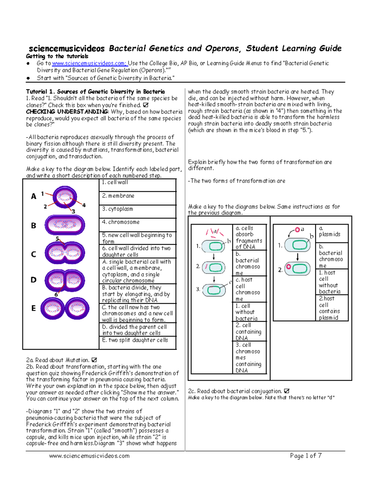 The Ultimate Guide To Inducible Operons: Are Your Answers Correct? - nluuull
