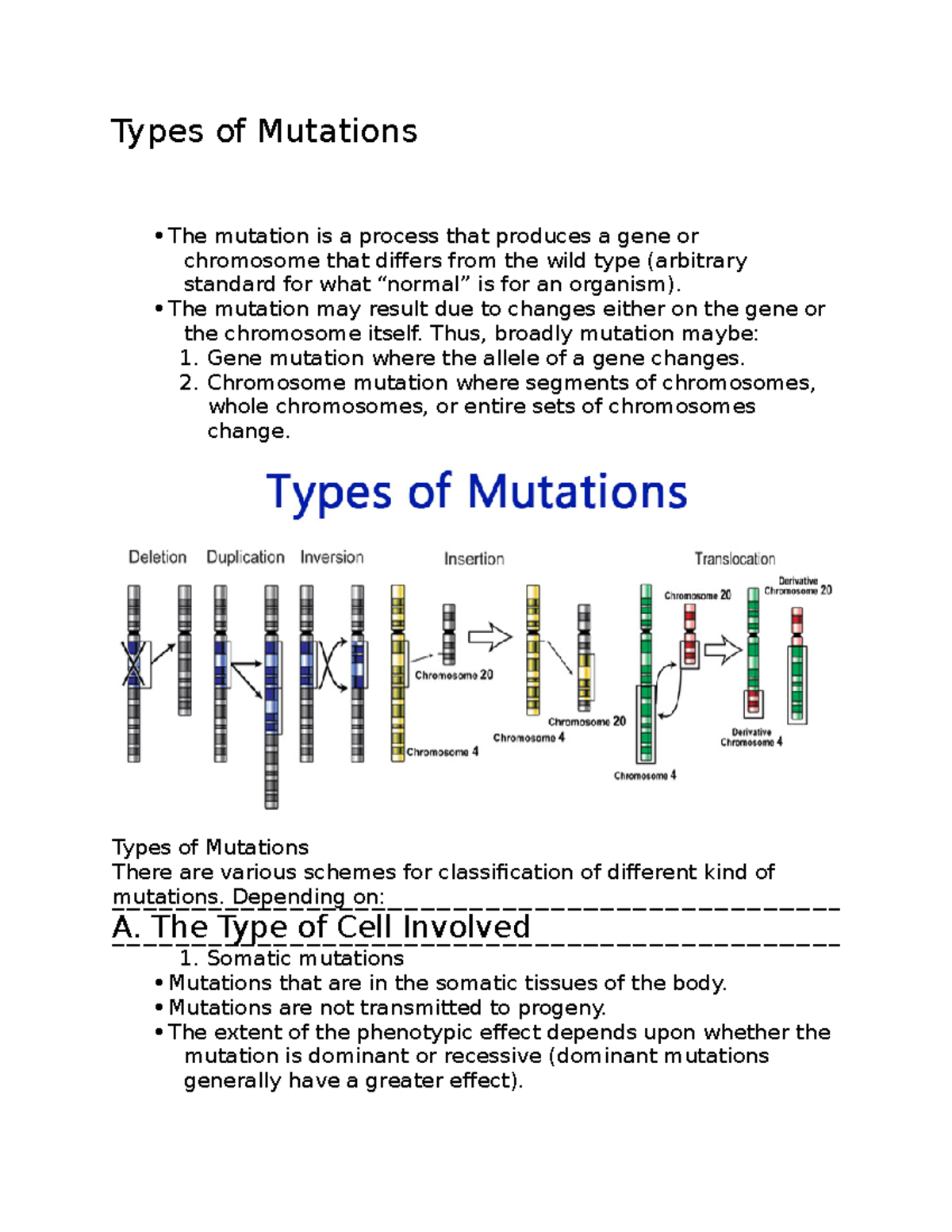 Types of Mutations notes Types of Mutations The mutation is a
