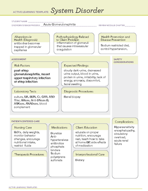 Ati nephrotic syndrome - ACTIVE LEARNING TEMPLATES System Disorder ...