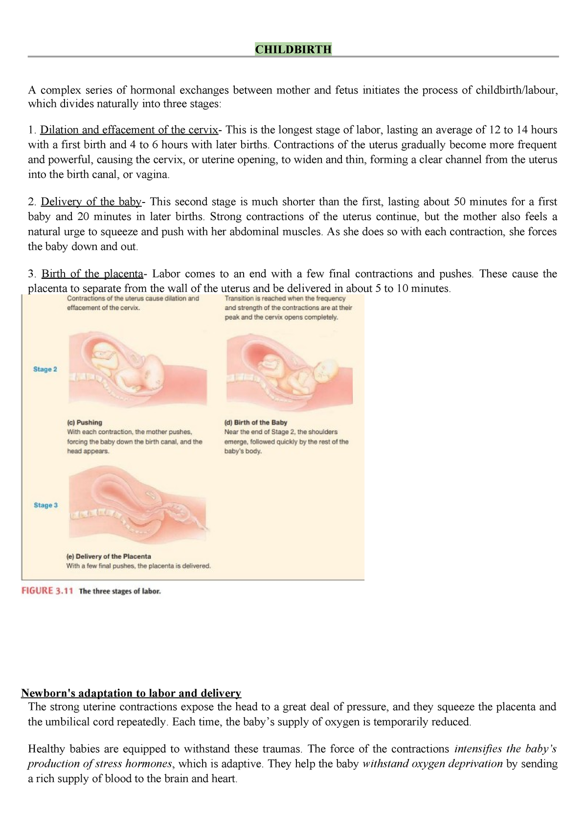 Childbirth - CHILDBIRTH A Complex Series Of Hormonal Exchanges Between ...