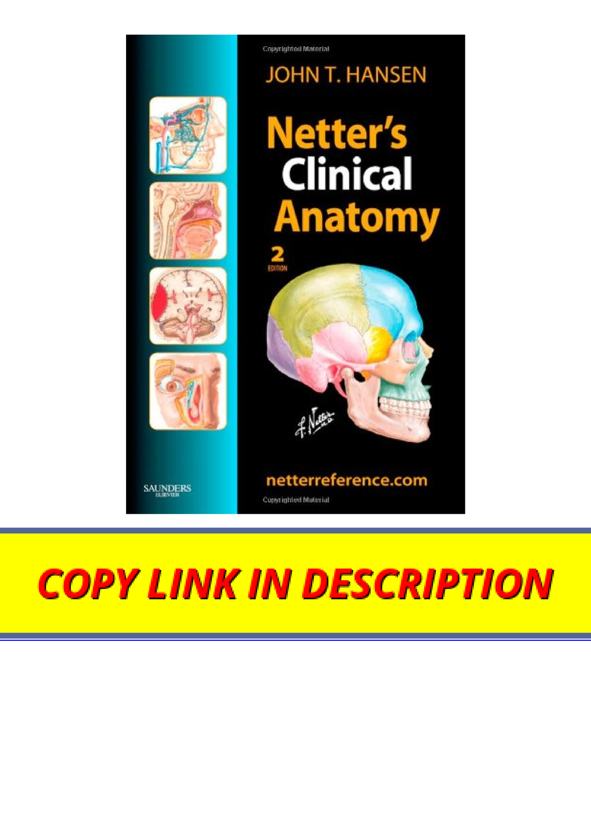 Ebook Download Netters Clinical Anatomy With Online Access Netter Basic