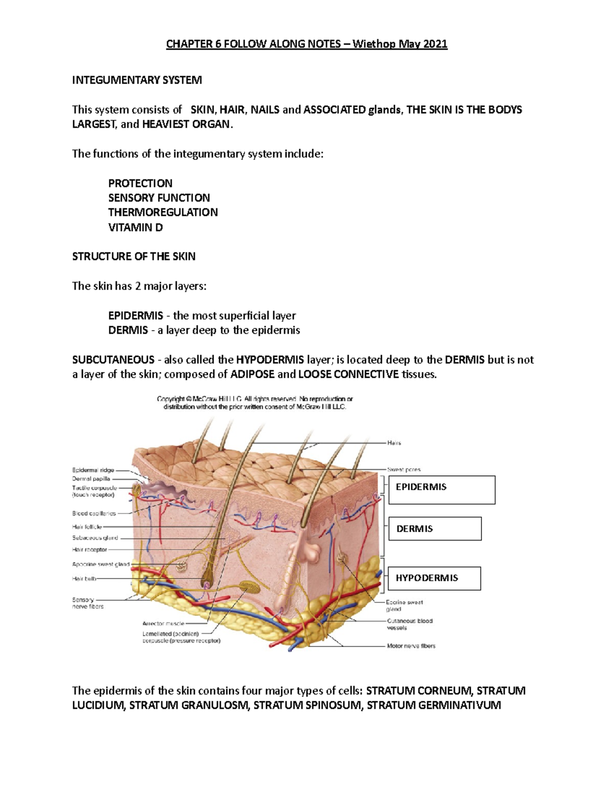 BIOS251 - Chapter 6 FAN Mc Graw Hill - INTEGUMENTARY SYSTEM This System ...