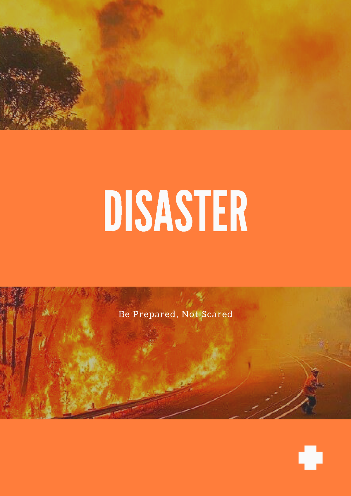 Disasterpreparedness - DISASTER B E P Re P A Re D , Not Sc A Re D S U ...