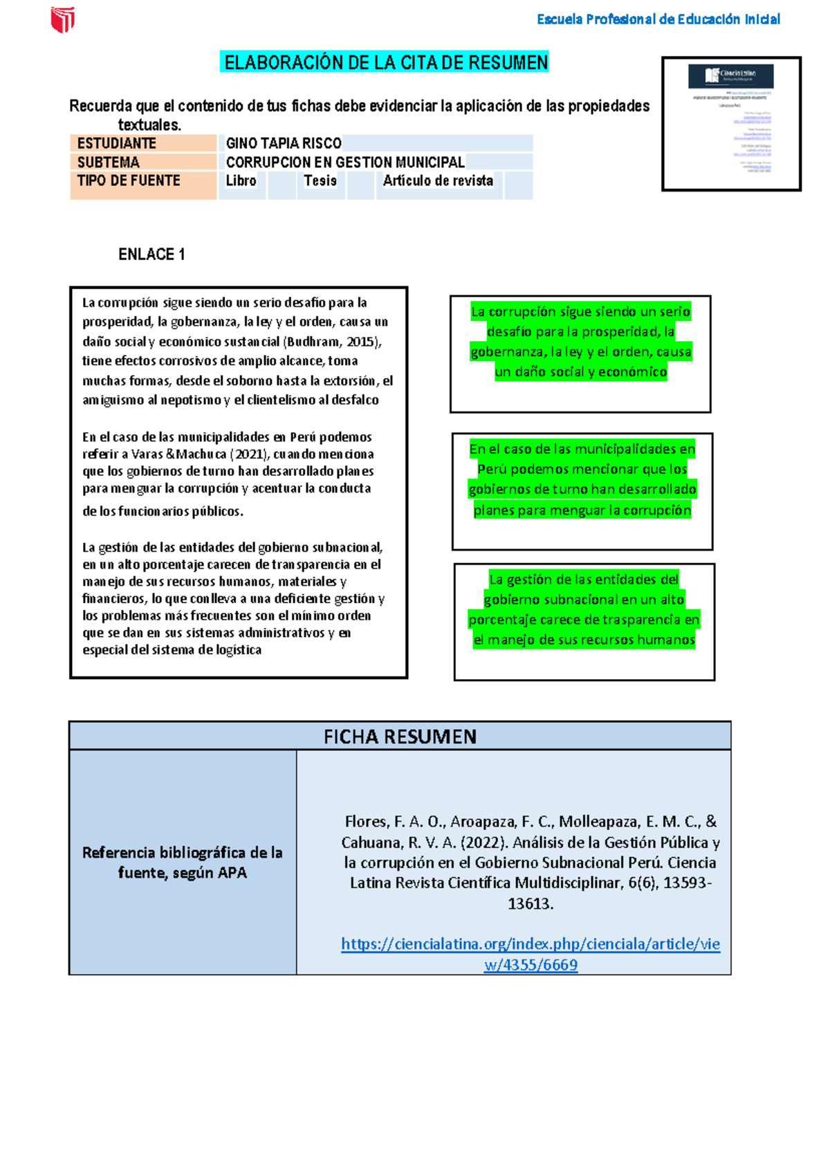 Formato PARA LAS Citas DE Resumen GINO Tapia Risco - ELABORACIÓN DE LA ...