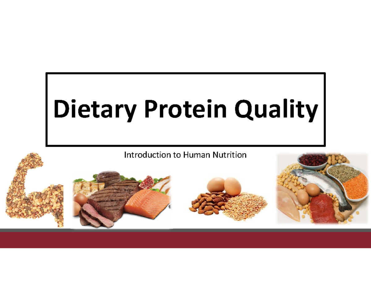 Section 7 Dietary Protein (Part 2 Dietary Protein Quality