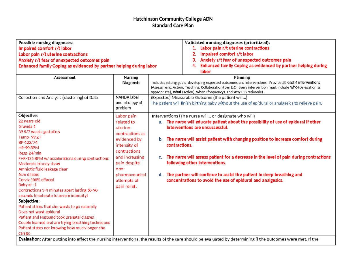 Care Plan 1 - Care Plan for patient in Labor - Hutchinson Community ...