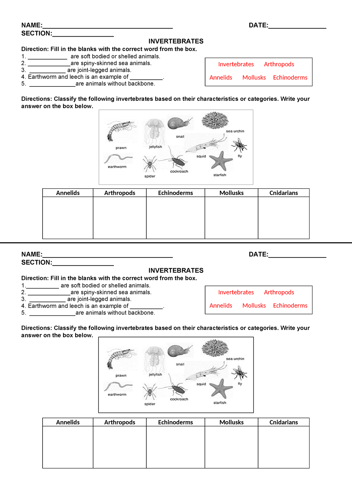 Activity Vetebrates AND Invertebrates - NAME ...