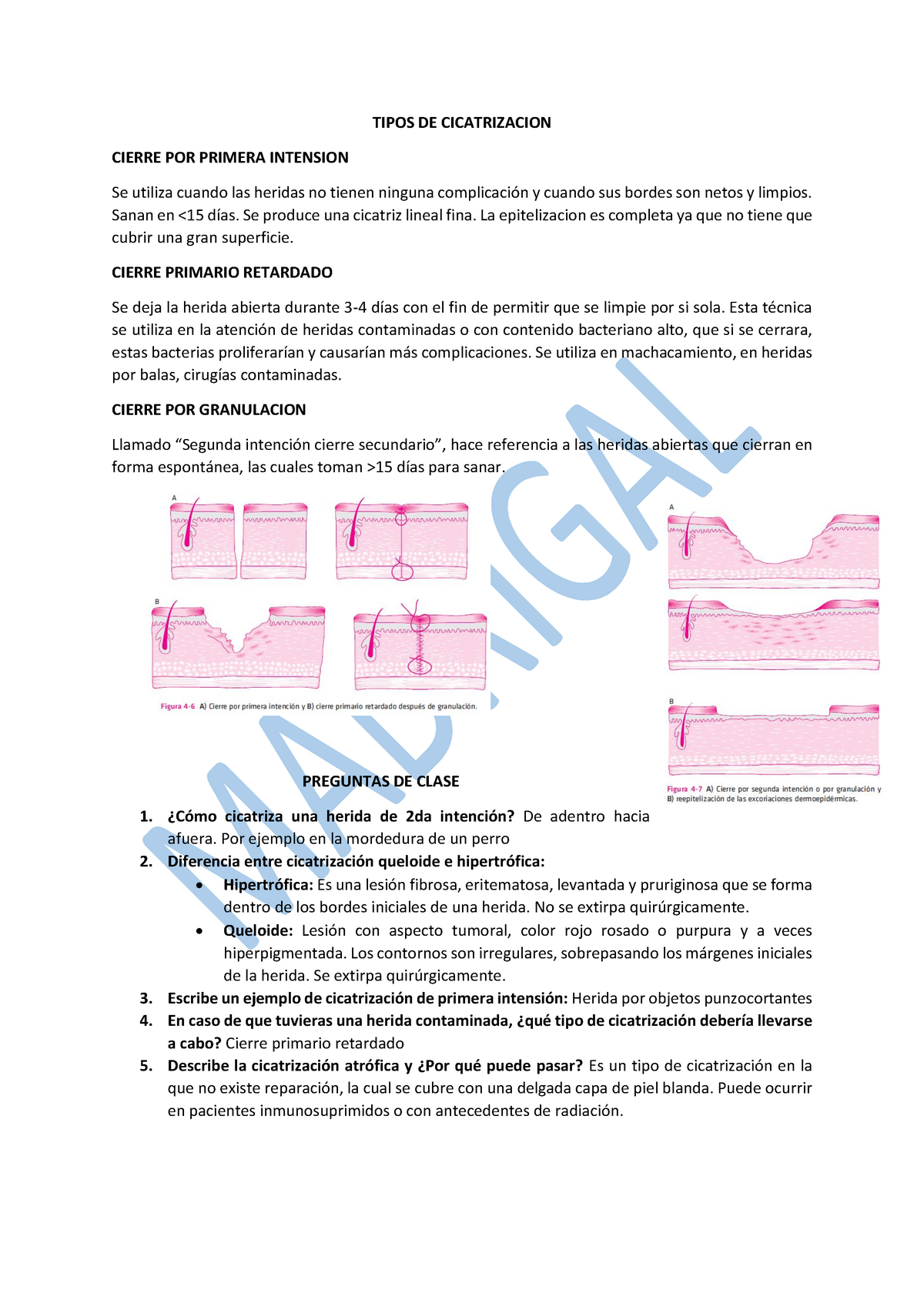 GUIA DE Tipos DE Cicatrizacion Y Hemostasia - TIPOS DE CICATRIZACION CIERRE  POR PRIMERA INTENSION Se - Studocu