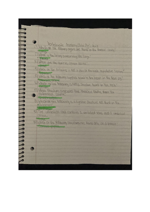 Animal Diversity II Worksheet - BSC1011L Lab Worksheet Animal Diversity ...