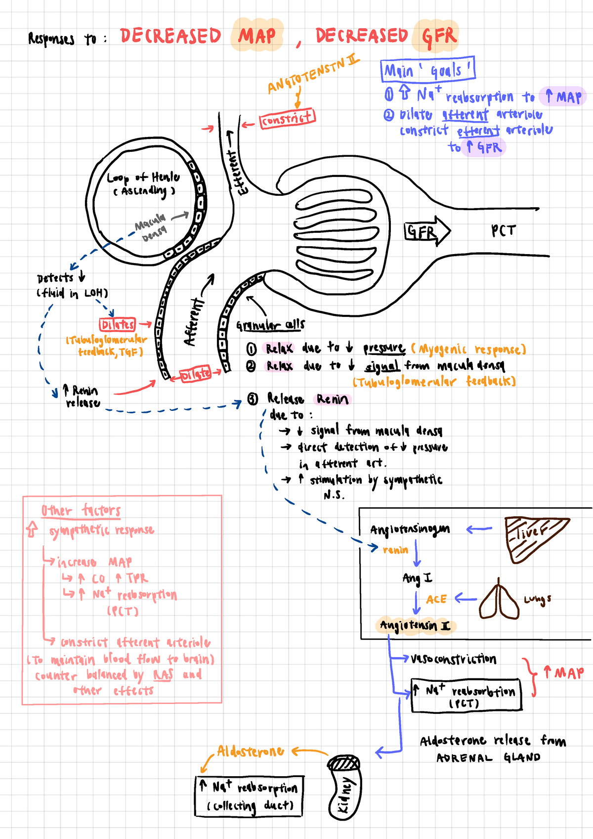 Gfr Cheat Sheet Very Useful For Final Exam Responses To