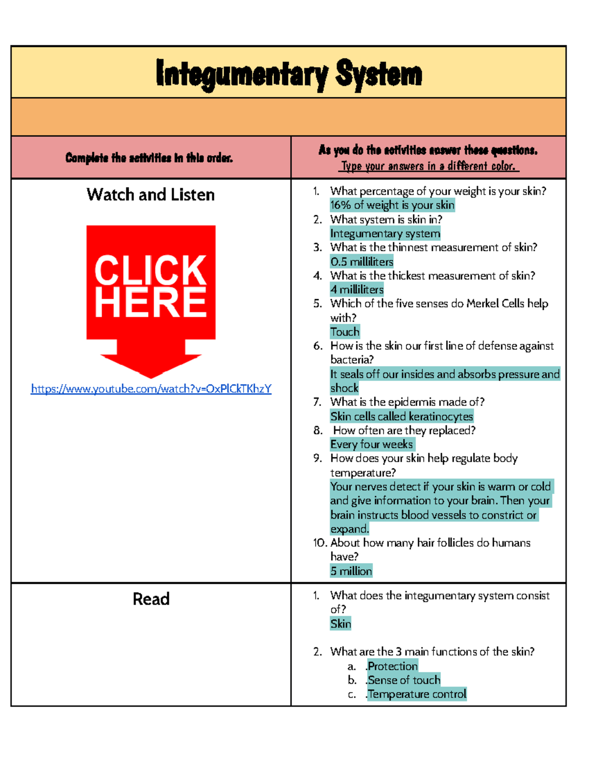 Integumentary System hyperdoc - Integumentary System Complete the ...