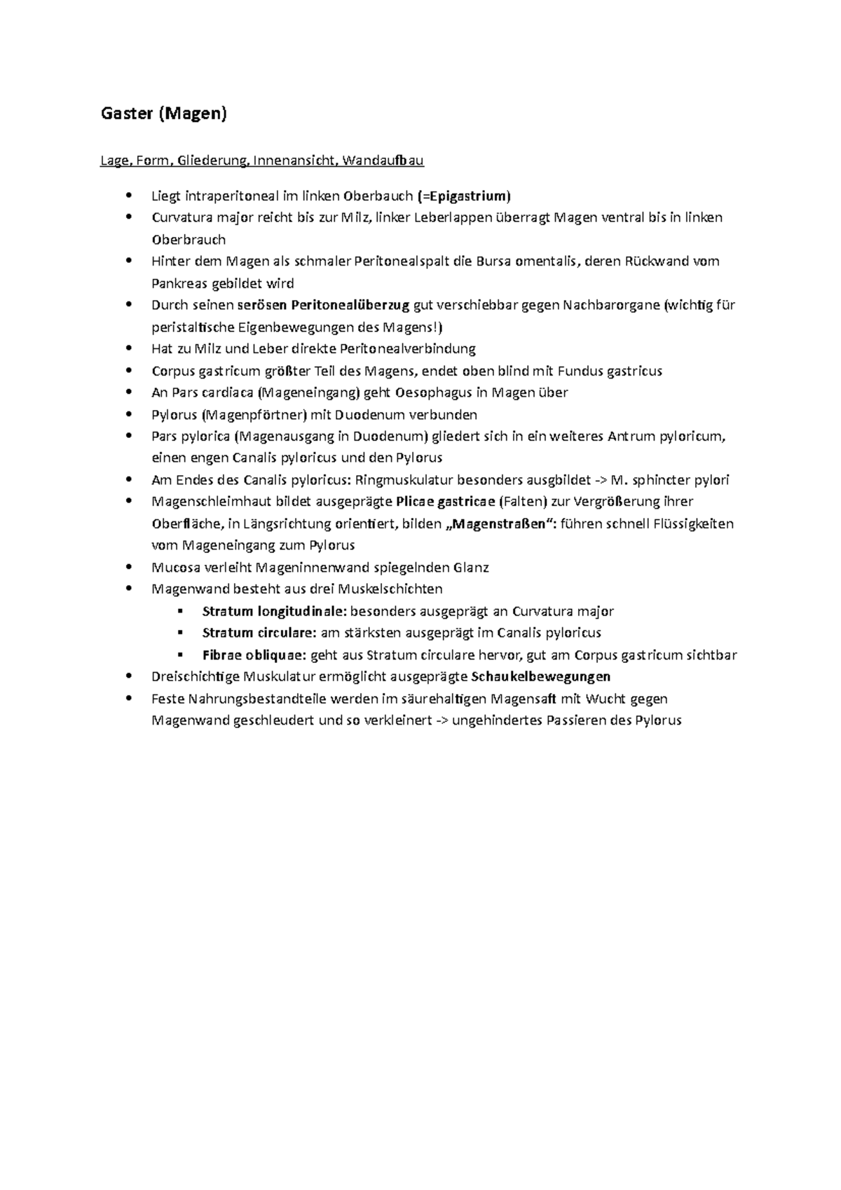 Gaster Anatomie Gaster (Magen) Lage, Form, Gliederung, Innenansicht