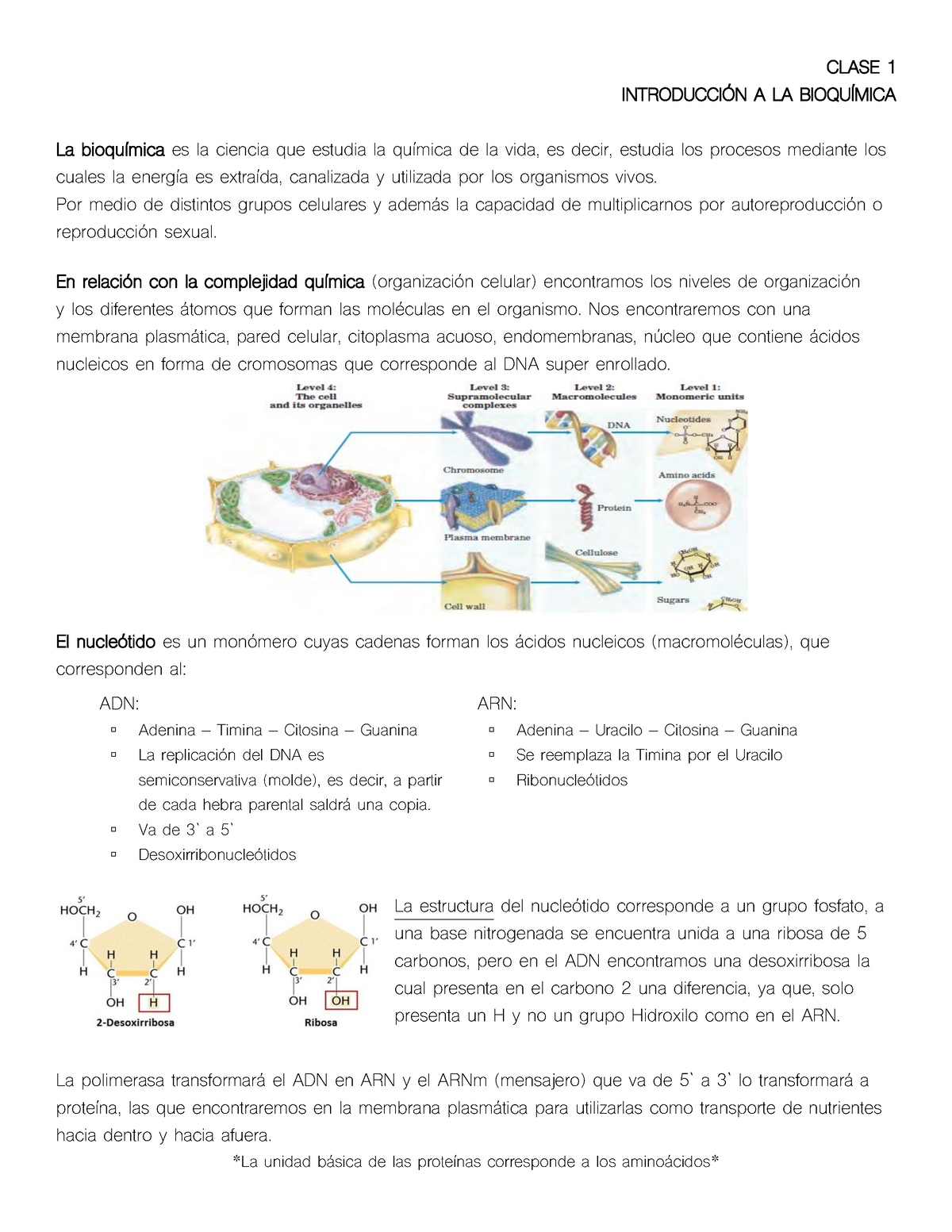 Bioquímica - Clase 1 (Introducción Y Agua) - CLASE 1 INTRODUCCI”N A LA ...