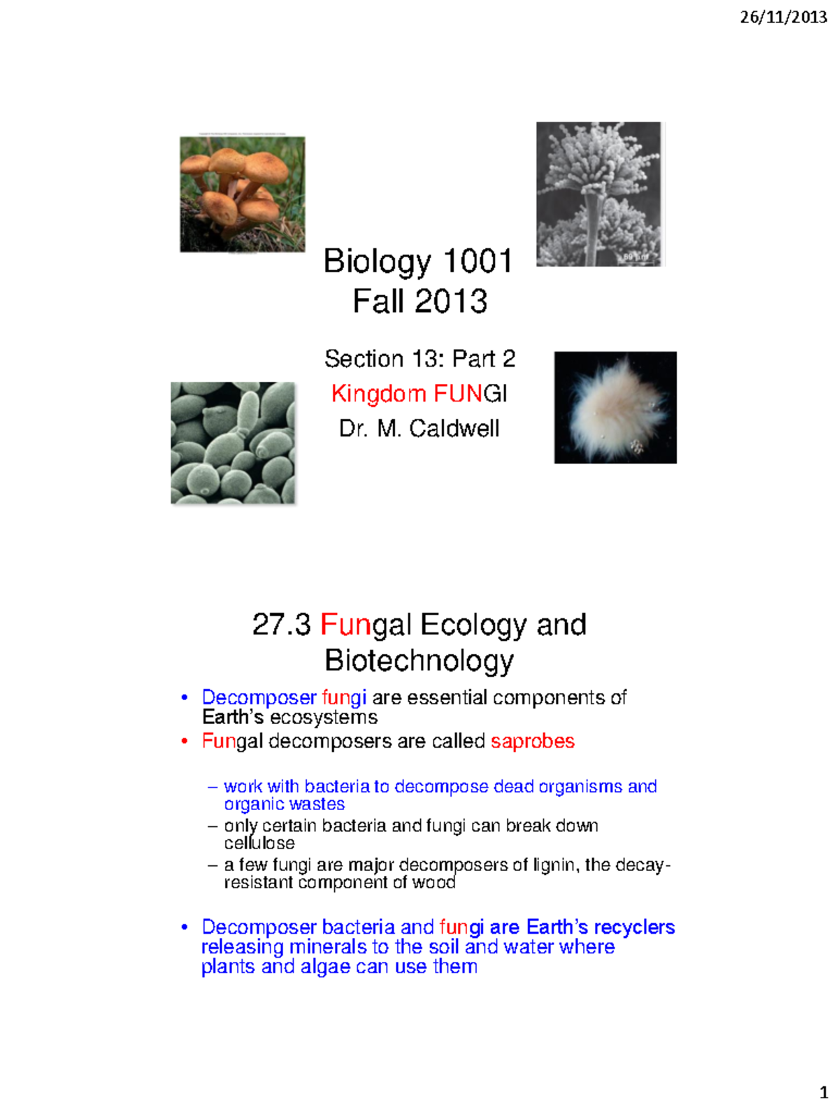 Biology 1001 F13 Section 13 Part 2 - 2 slides per page - 26/11/2013 ...
