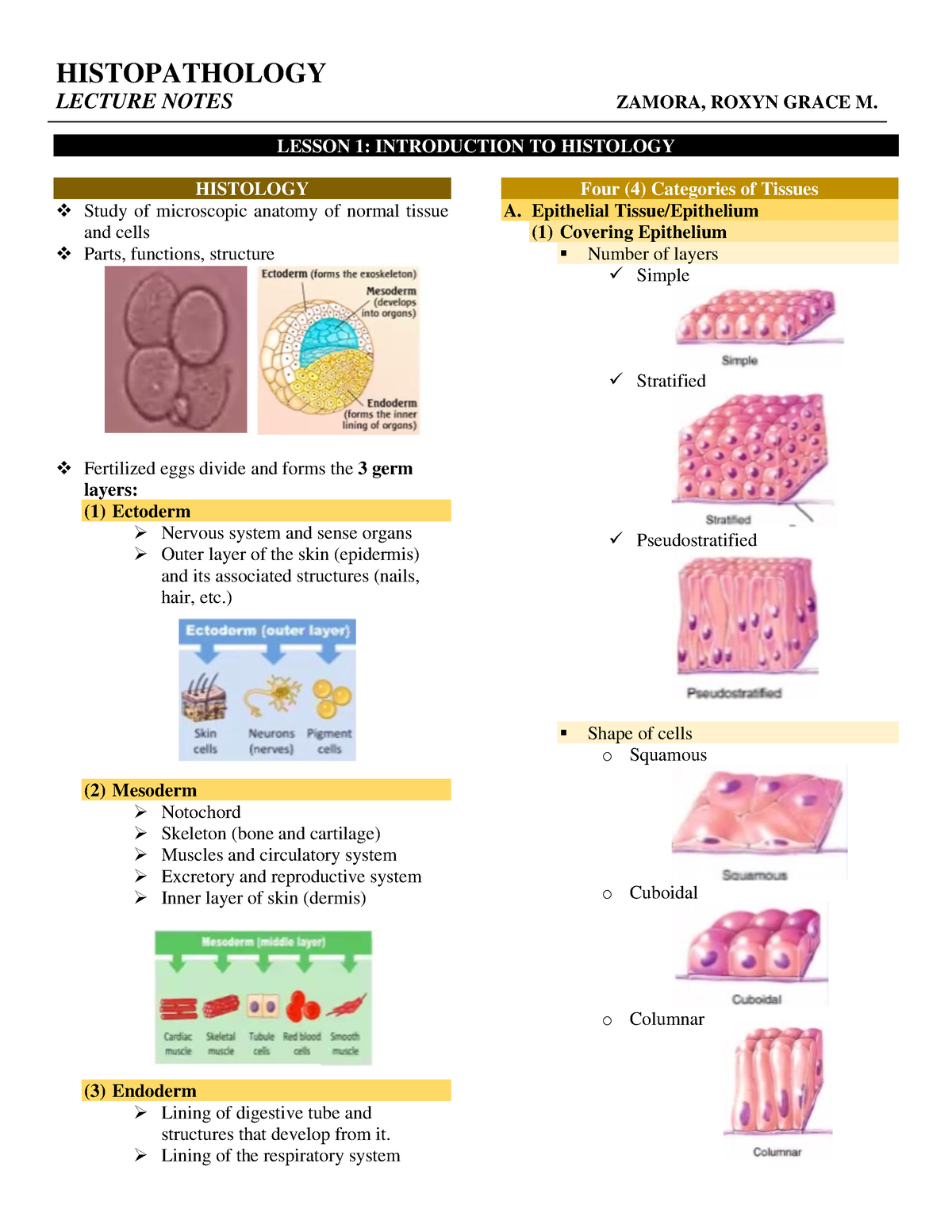 Histopathology - HISTOPATHOLOGY LECTURE NOTES ZAMORA, ROXYN GRACE M ...