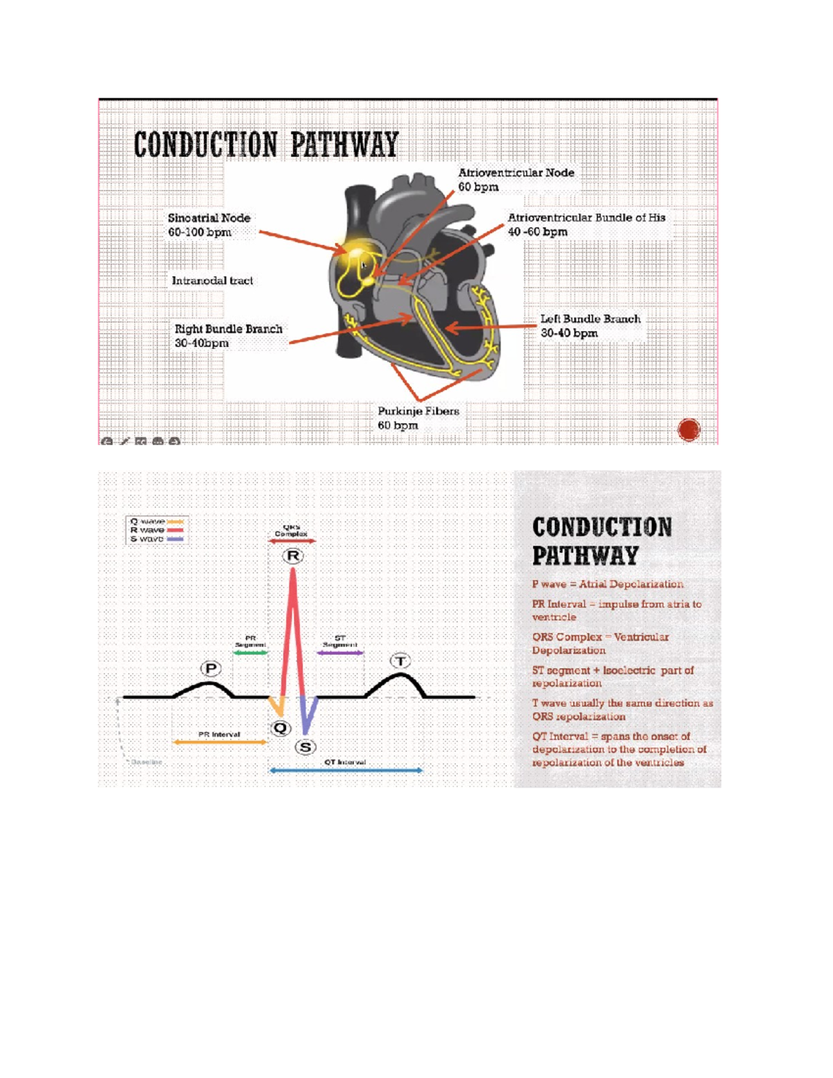 BLS, ECG - BLS, ECG - Medicine - S D - Studocu