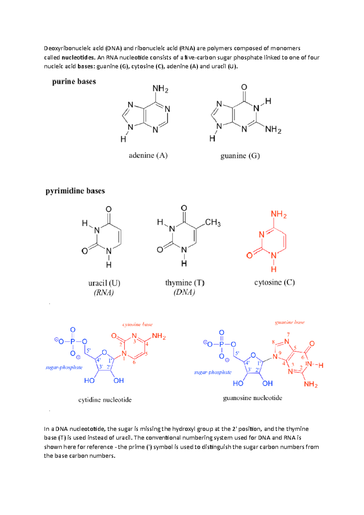 Nucleic ACIDDNA and RNA structure Deoxyribonucleic acid (DNA) and