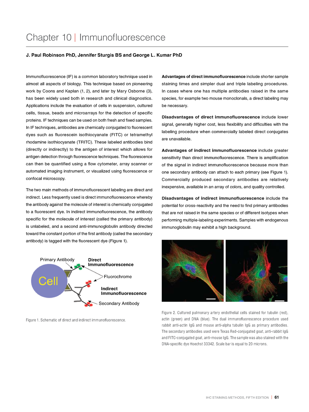 Immunofluroscence - Mechanism of immunefleruonce method - IHC STAINING ...