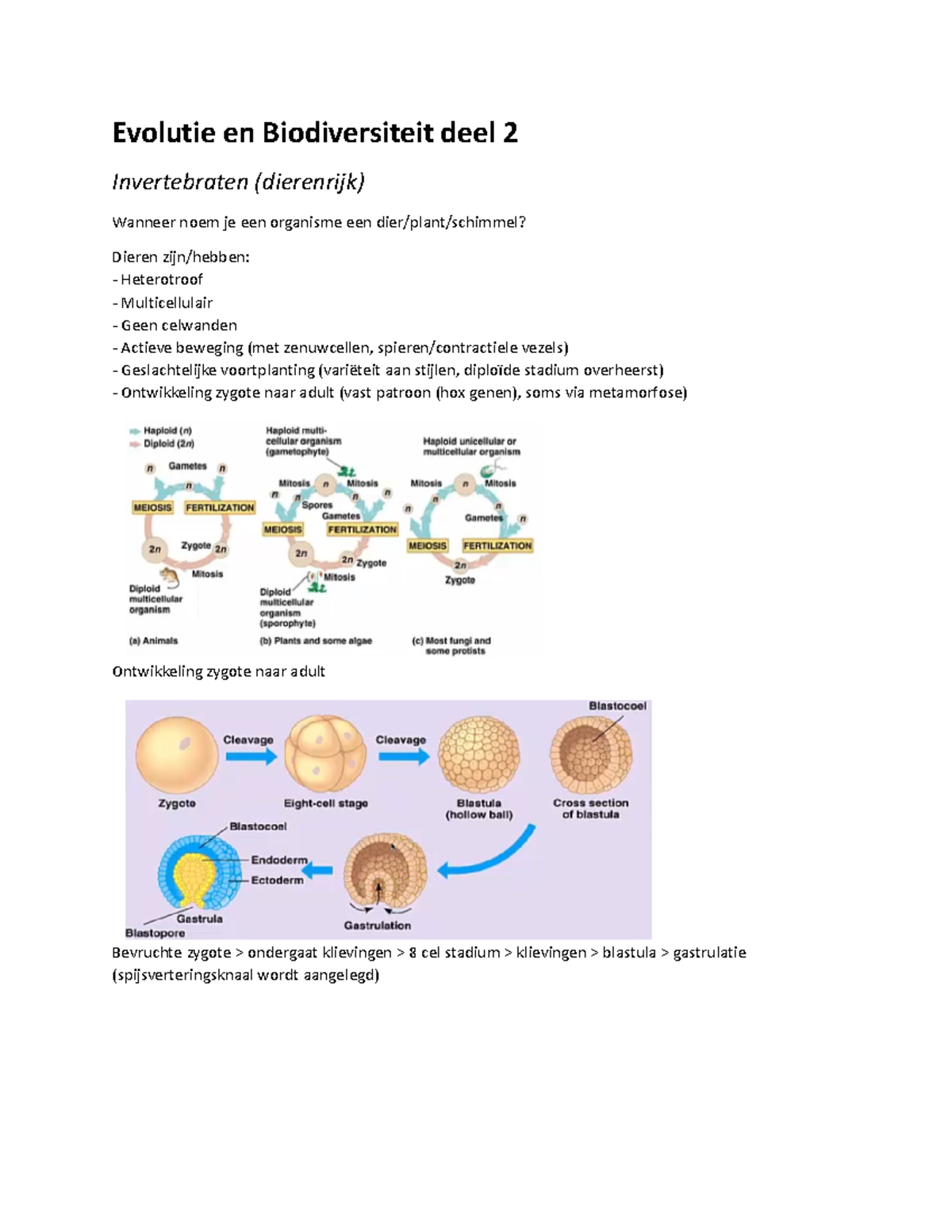 Evolutie En Biodiversiteit Invertebraten En Vertebraten Samenvatting Evolutie En