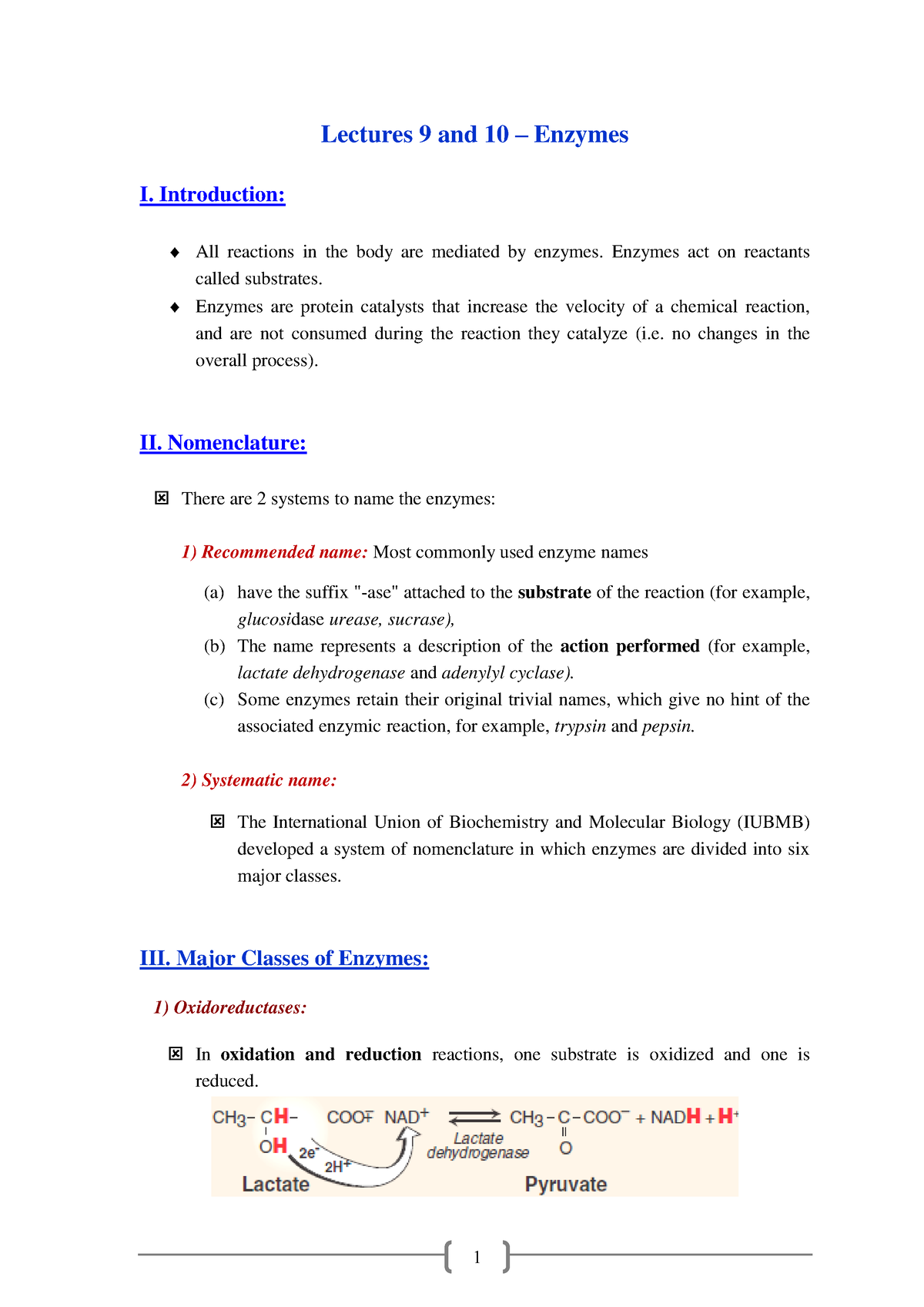 Lectures 9 And 10, Enzymes - Lectures 9 And 10 – Enzymes I. Introduction: All Reactions In The ...