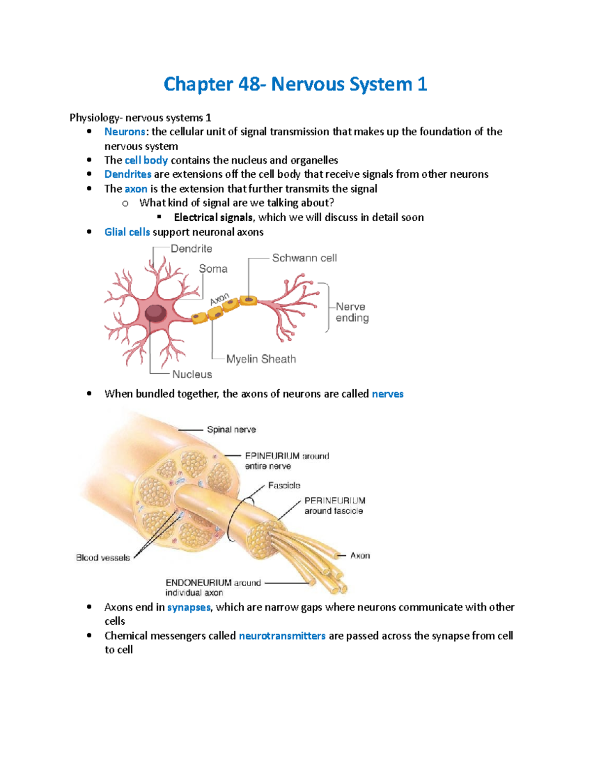 Bio Notes Unit 4 - Chapter 48- Nervous System 1 Physiology- Nervous ...