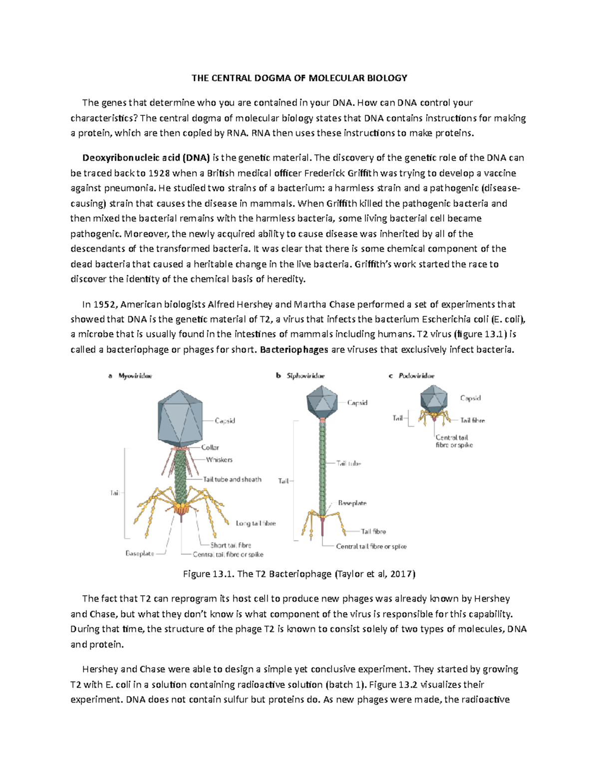 THE Central Dogma OF Molecular Biology - THE CENTRAL DOGMA OF MOLECULAR ...